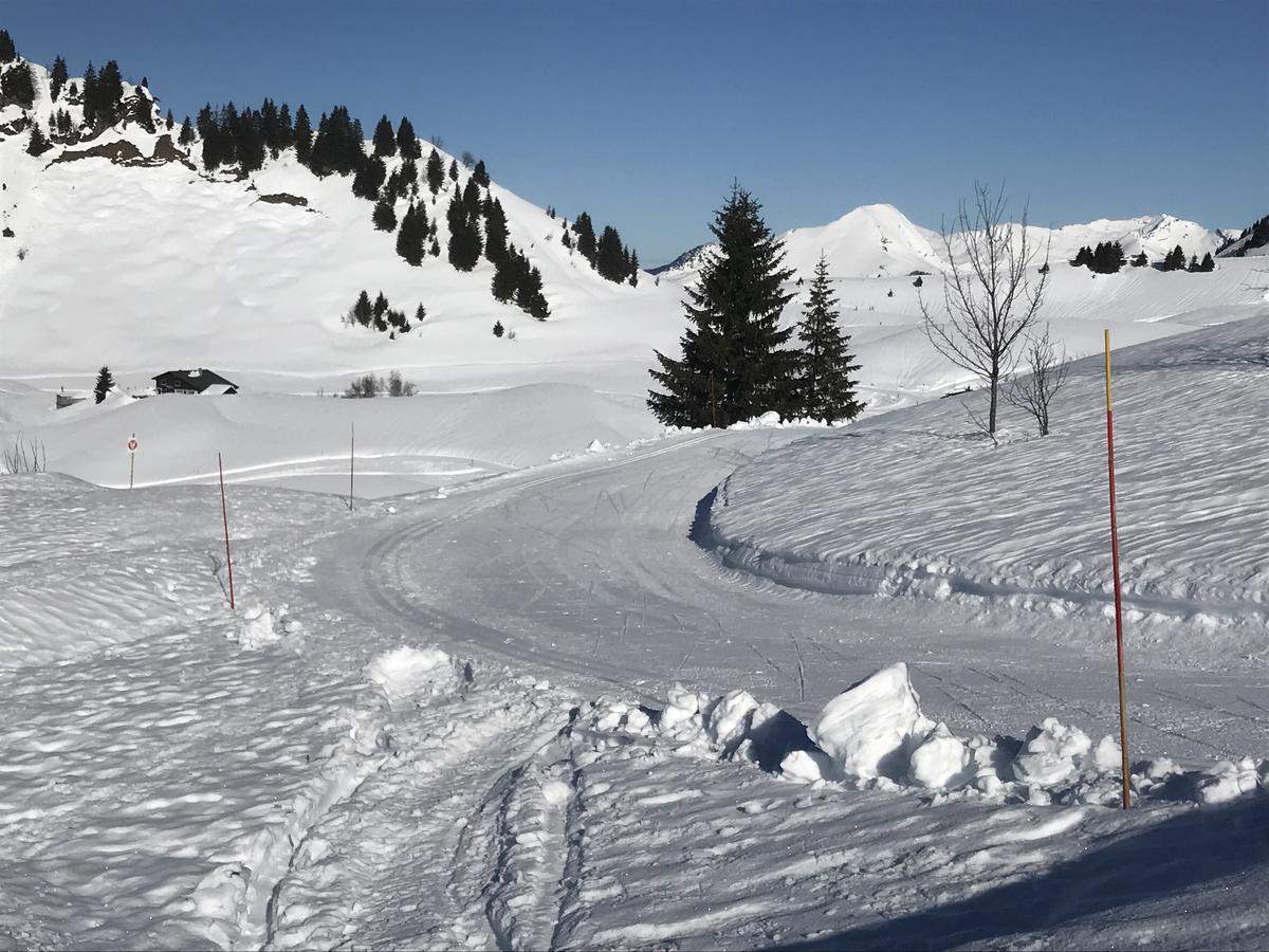 Residence Les Chardons Argentes Samoëns Exterior foto